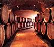 20060816051613-vino16082006.jpg