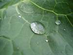 20060914234236-agua20060914.jpg