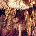 20061008153758-grutas20061008.jpg