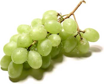 20071229093156-uvasssss.jpg