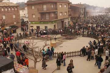 20080120145851-festatossino.jpg