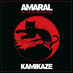 20080526001901-amaral-kamikaze.jpg