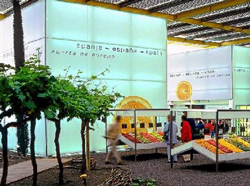 20081029235327-expo-2002.jpg
