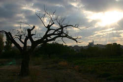 20081230141848-dia-triste.jpg