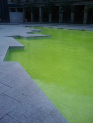 20090825141710-borrar.jpg