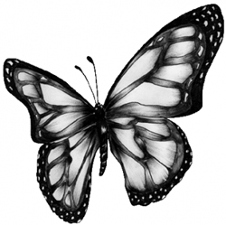 20090826142952-orquesta-de-mariposas.jpg