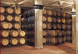 20091107220734-bodegas-aragonesas.jpg