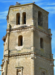 20100814000259-pertusa.jpg
