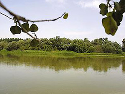 20110927140134-soto-de-cantalobos.jpg