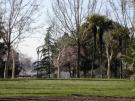parque.jpg